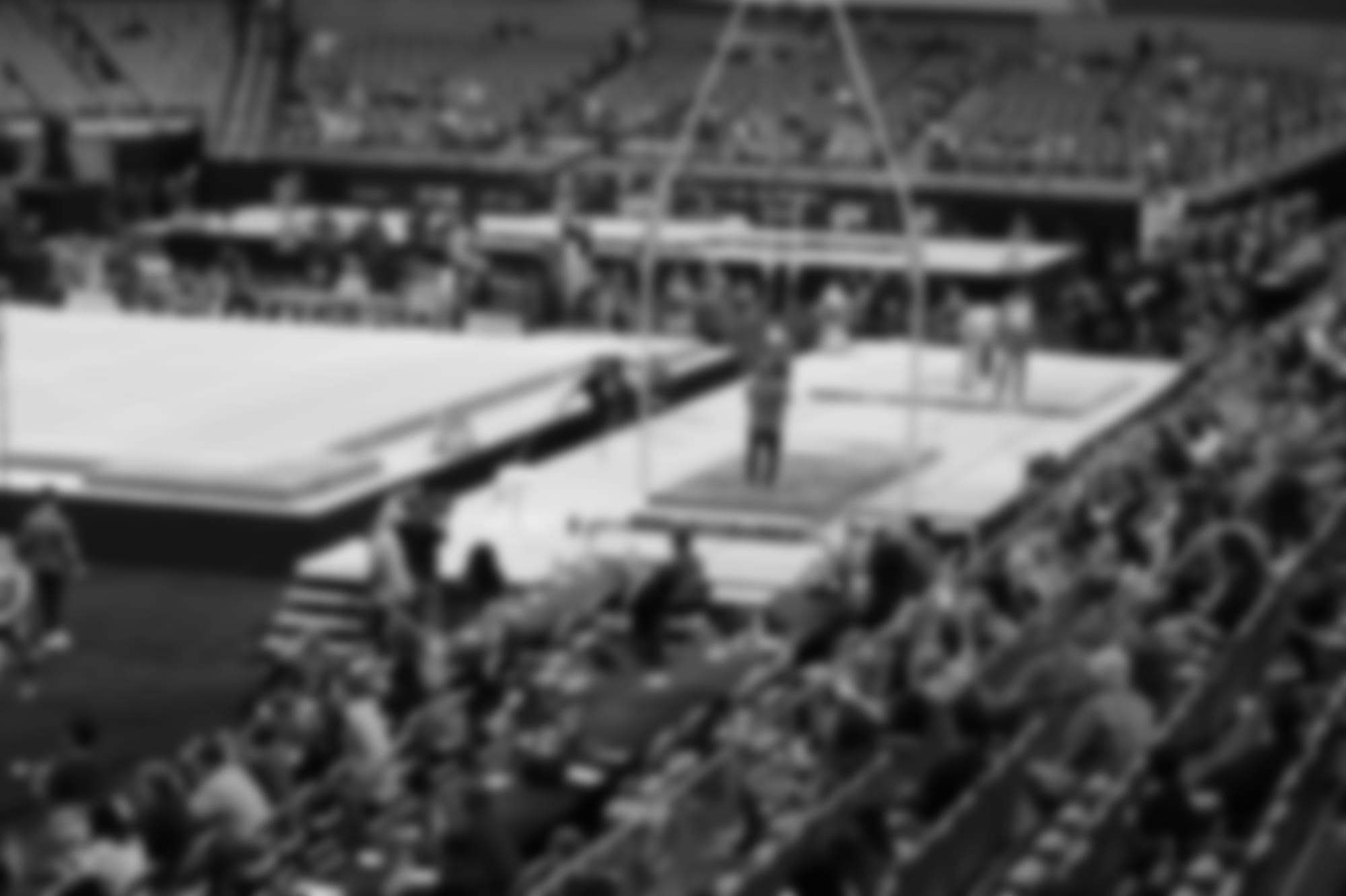NCAA Introduces Rule Changes for Men's Gymnastics 2024-25 Season
